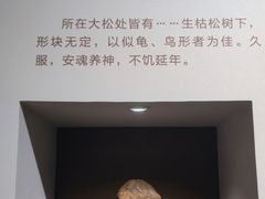 -北京中医药大学-中医药博物馆