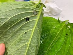 -圣罗巴甄选自助(麦凯乐店)
