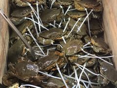 -南沙十九涌渔人码头-南门