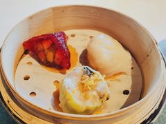 -三号黄浦会Canton Table