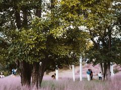 -牛岗山公园