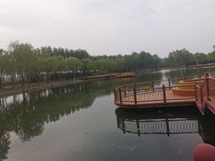 -东郊湿地公园