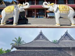 -西双版纳傣族园