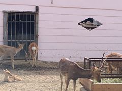 -青藏高原野生动物园