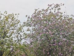 -海珠儿童公园