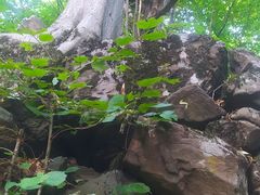-维乐口腔医院(福清院)