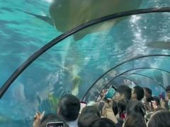 -苏州海洋馆