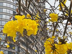 -洲头咀公园