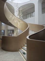 -广州美莱医疗美容医院