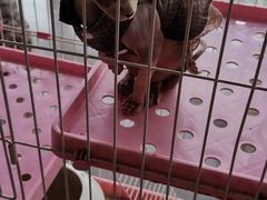 -昆明大悦城未来动物城(螺蛳湾中心店)