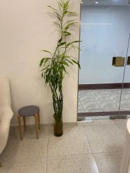 点击看大图 -苗方清颜·祛痘皮肤管理