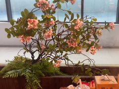 -老凯俚酸汤鱼(鸿通城店)