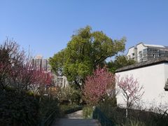 -乌山风景区