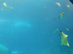 -横琴湾水世界