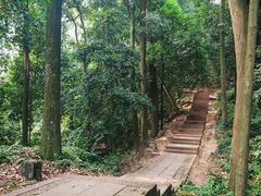 -凤栖山
