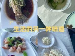 -云中小雅