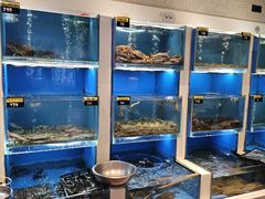 -赶海部落海鲜城(海阳路店)