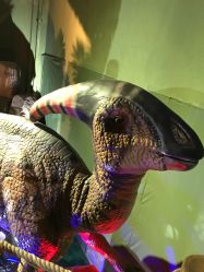 -恐龙探索乐园(磁器口店)