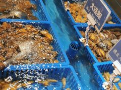 -御品海宴海鲜自助餐厅(龙岗万科广场店)