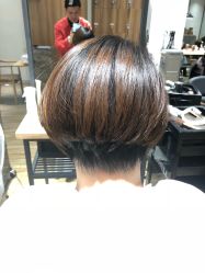 -Mentor Hair Salon