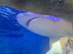 -横店影视城梦幻谷园区