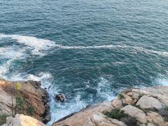 -广东惠东海龟国家级自然保护区