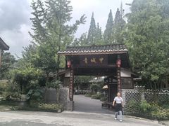 -青城甲(青城山店)