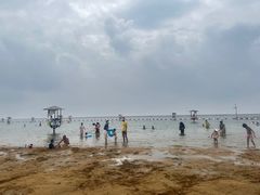 -碧海金沙