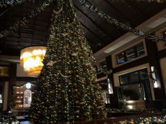 -海南清水湾莱佛士酒店