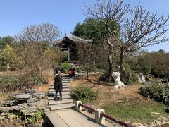 -大湾区中央湿地公园