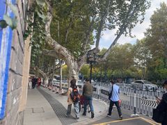 -江苏省美术馆(长江路新馆)