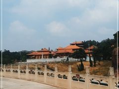 -三水森林公园