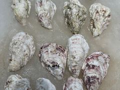 -蚝老板海鲜烧烤大排档(码头店)