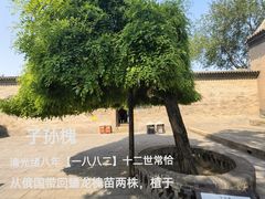 -常家庄园