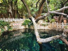 -蝴蝶泉公园
