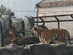 -祥源·阜阳生态乐园