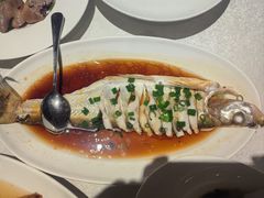 -金美华轩(东方路齐鲁店)