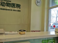 -悦宠凯宝动物医院·牙科·皮肤科(朝阳北路店)