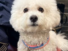 -湾里人家(旺山景区店)