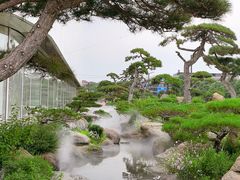 -罗红摄影艺术馆