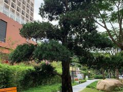 -深圳市养老护理院