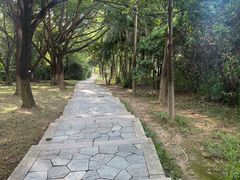 -玉树公园