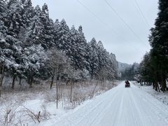 -武陵山森林公园