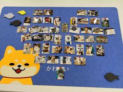 -佳雯宠物医院(四明中路分院)