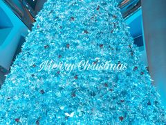 -迪拜帆船酒店海底餐厅