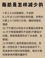 -Fundi张玉珊修身堂·indiba·BTL科技瘦身