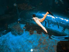 -华夏文旅海洋公园