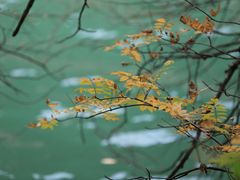 -叠溪松坪沟景区