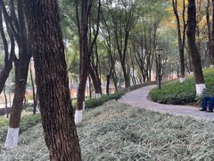 -重庆市江北嘴中央商务区中央公园