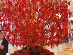 -北京中国大饭店